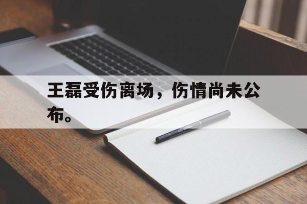 开云综合app登录入口-王磊受伤离场，伤情尚未公布。