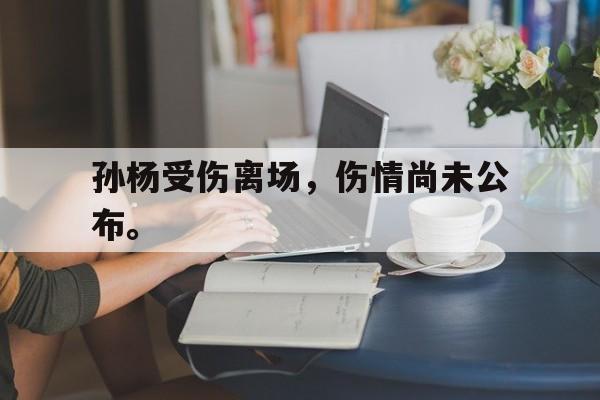 开云综合app官方官网-孙杨受伤离场，伤情尚未公布。