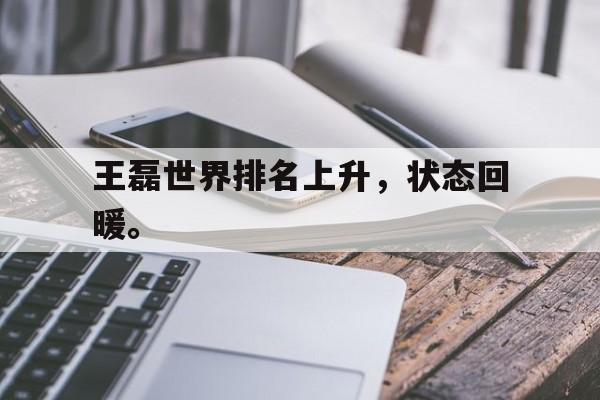 开云综合app登录入口-王磊世界排名上升，状态回暖。