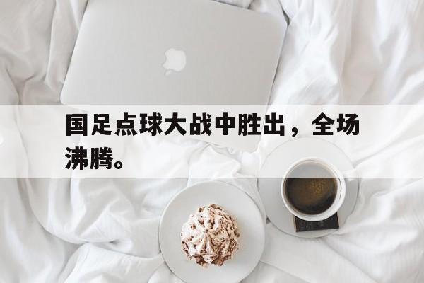 开云综合app官方官网-国足点球大战中胜出，全场沸腾。