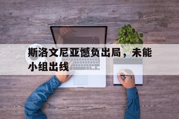 开云综合app官方官网-斯洛文尼亚憾负出局，未能小组出线