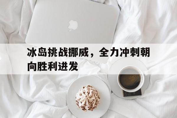 开云综合app登录入口-冰岛挑战挪威，全力冲刺朝向胜利进发