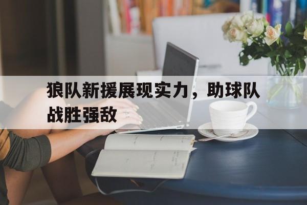 开云综合app登录入口-狼队新援展现实力，助球队战胜强敌